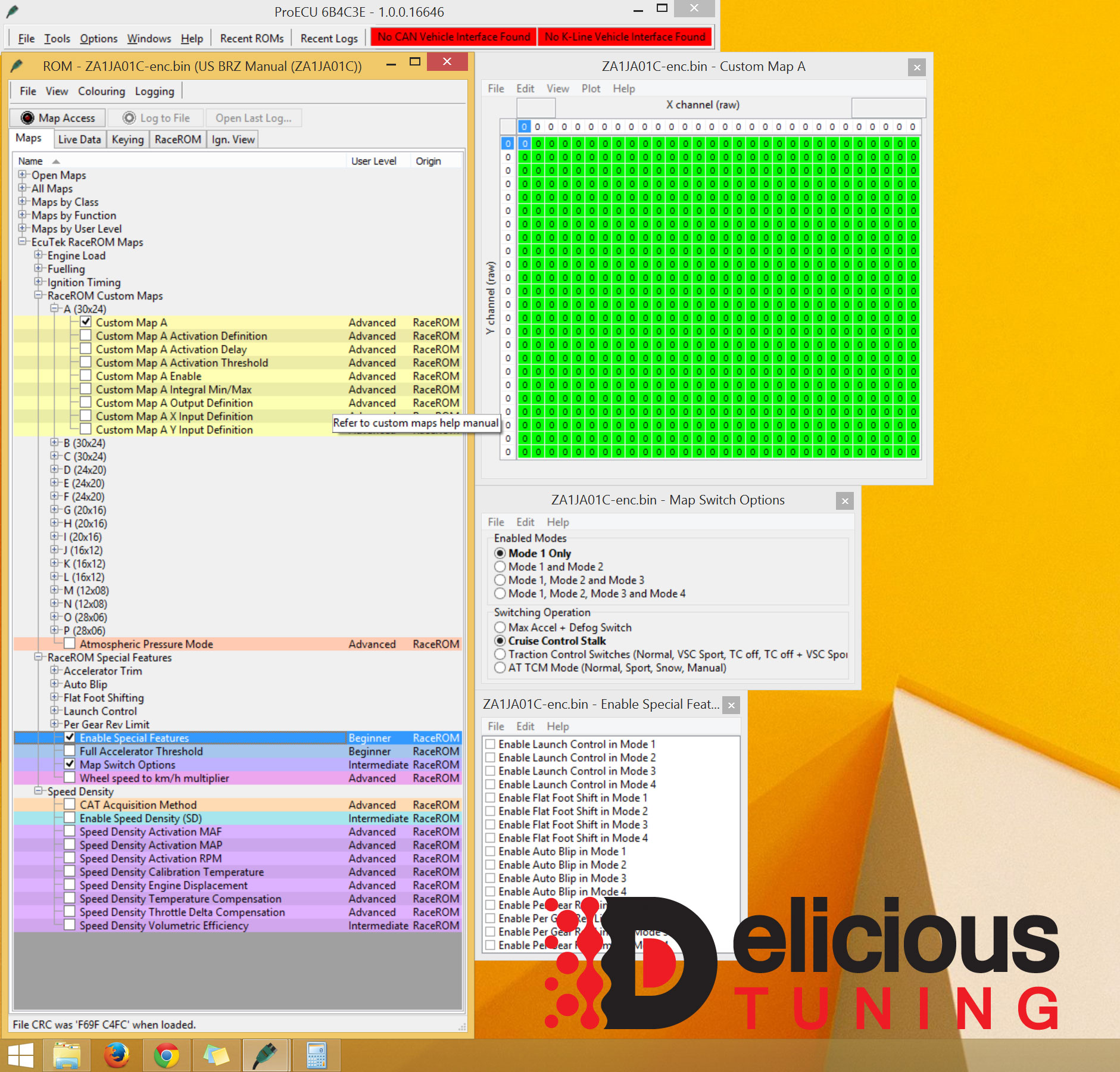 EcuTeK RaceROM Tuning Upgrade Delicious Tuning